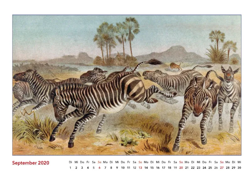 Brehms bunte Welt der Tiere 2020