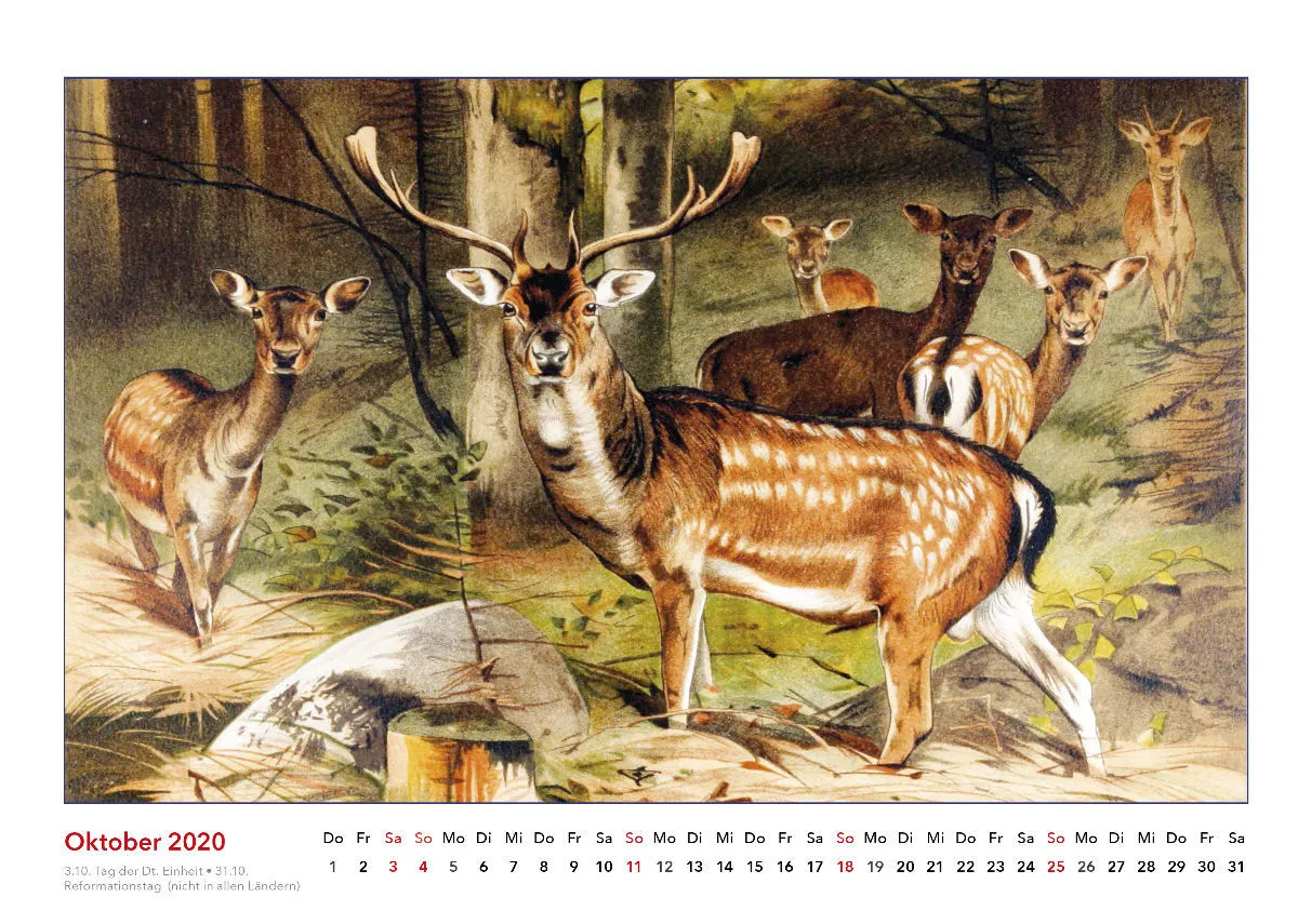 Brehms bunte Welt der Tiere 2020