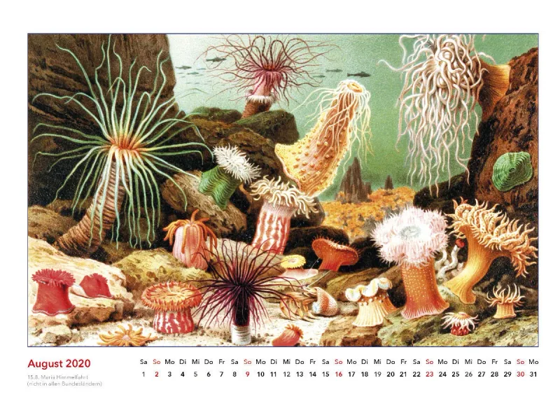 Brehms bunte Welt der Tiere 2020