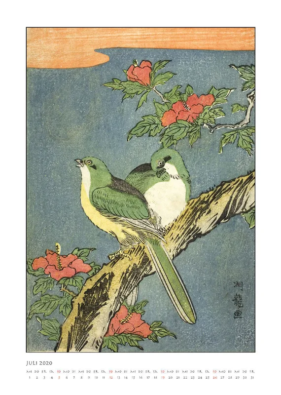 Die Eleganz der Vögel 2020