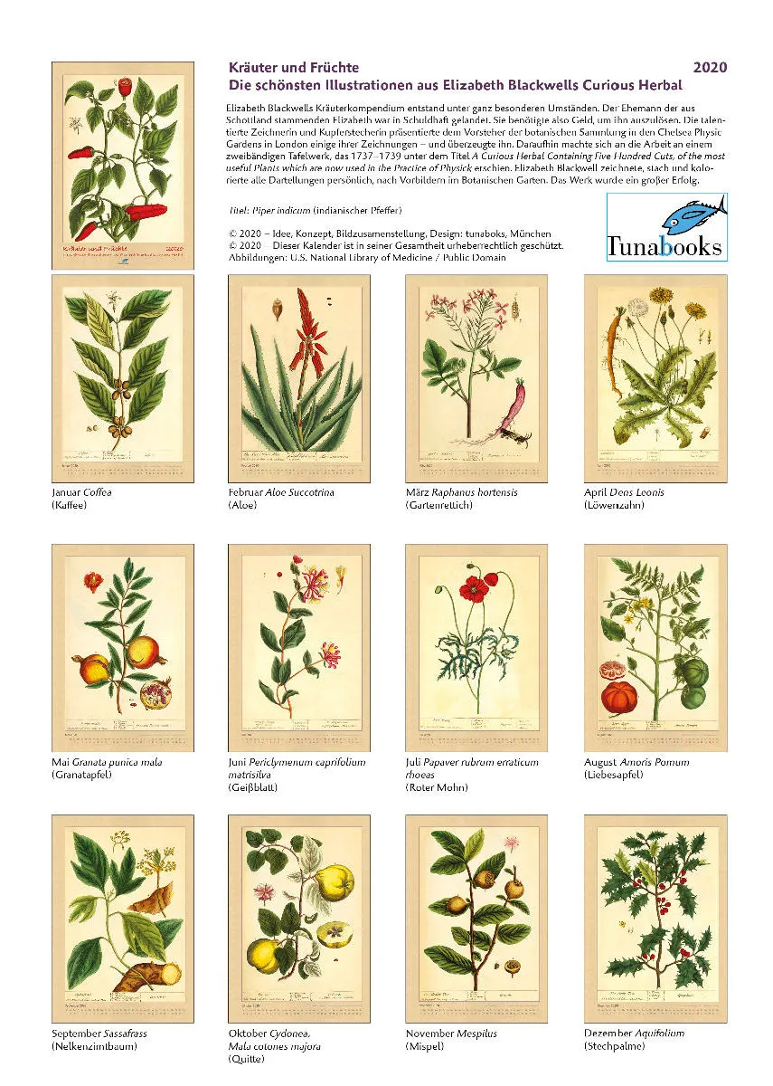 Kräuter und Früchte. Die schönsten Illustrationen aus Elizabeth Blackwells "Curious Herbal". 2020