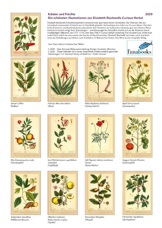 Kräuter und Früchte. Die schönsten Illustrationen aus Elizabeth Blackwells "Curious Herbal". 2020