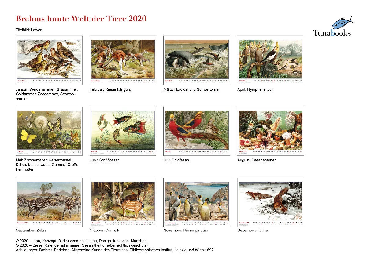 Brehms bunte Welt der Tiere 2020