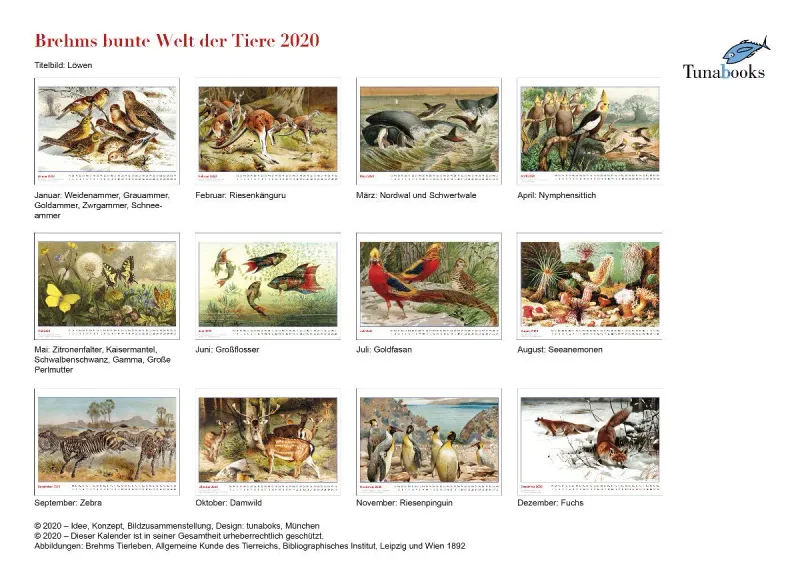 Brehms bunte Welt der Tiere 2020