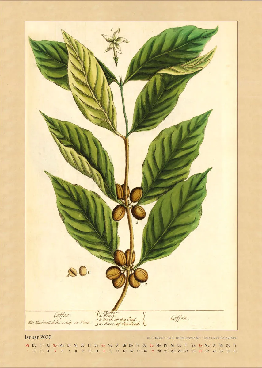Kräuter und Früchte. Die schönsten Illustrationen aus Elizabeth Blackwells "Curious Herbal". 2020