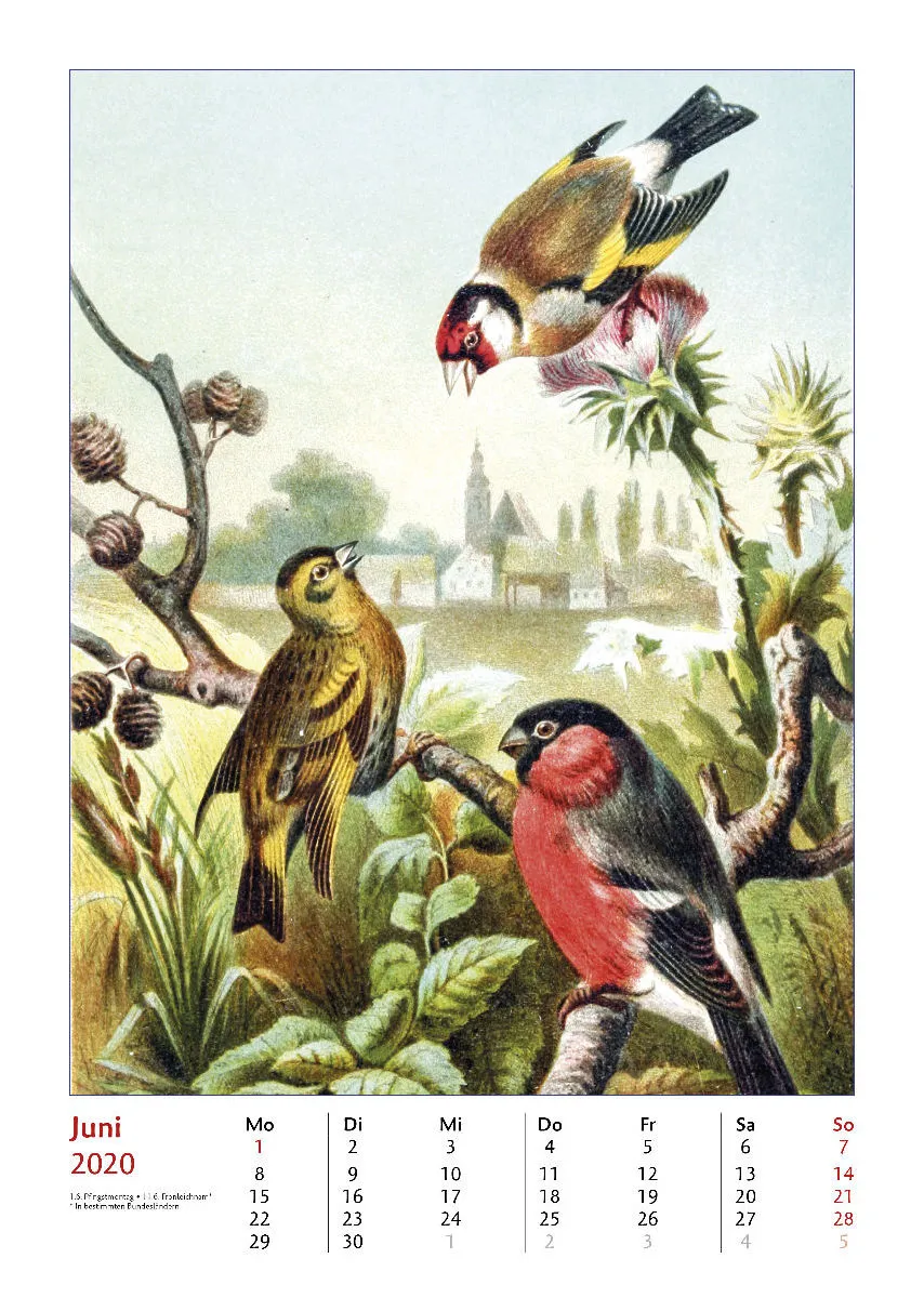 Brehms bunte Welt der Vögel 2020