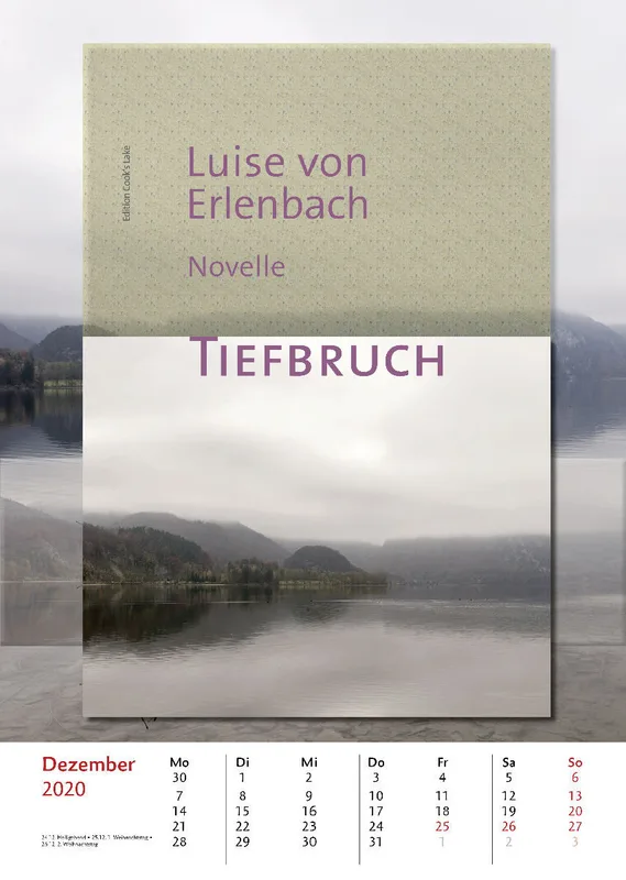 Bibliothek der vermissten Bücher. 2020