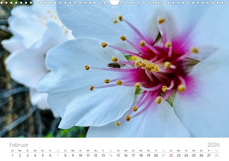 Gran Canaria Wandkalender