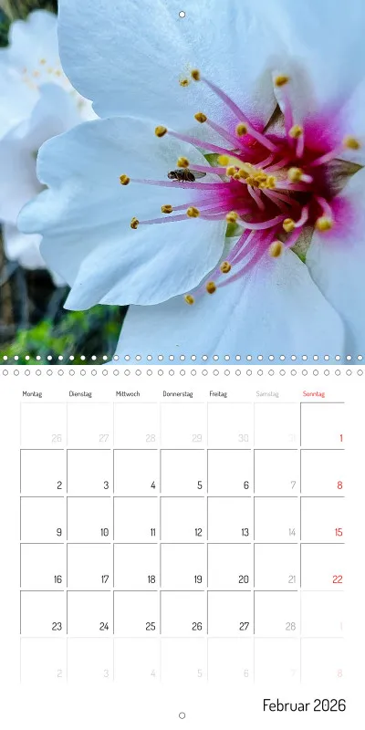 Gran Canaria Klappkalender