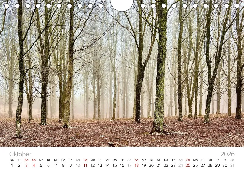 Madeira Wandkalender
