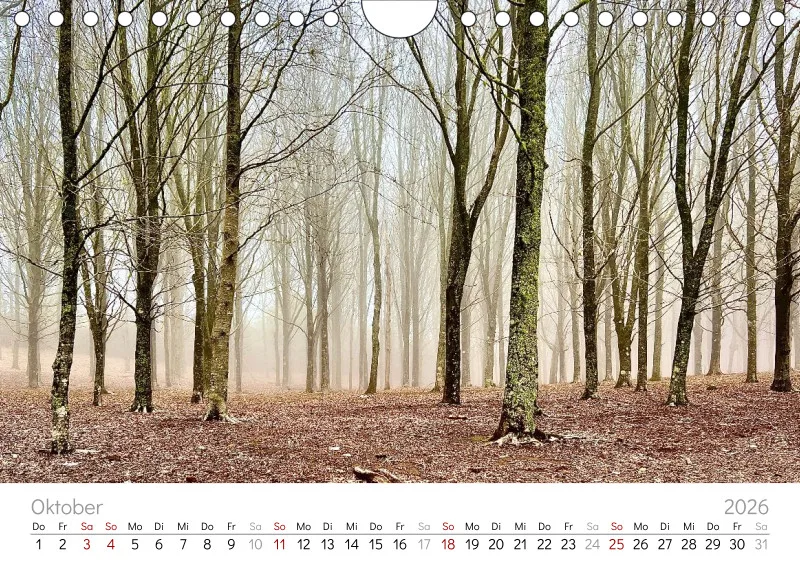 Madeira Wandkalender