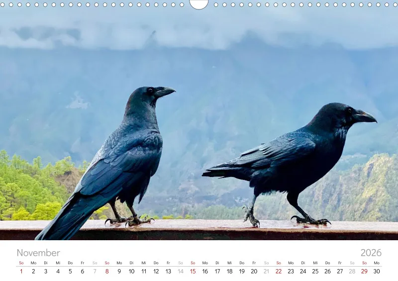La Palma Wandkalender