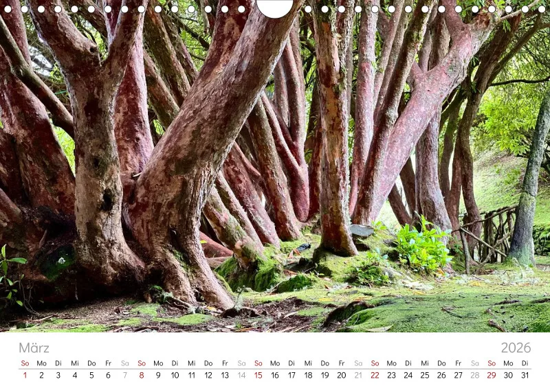 Madeira Wandkalender