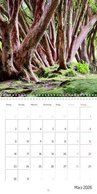 Madeira Klappkalender