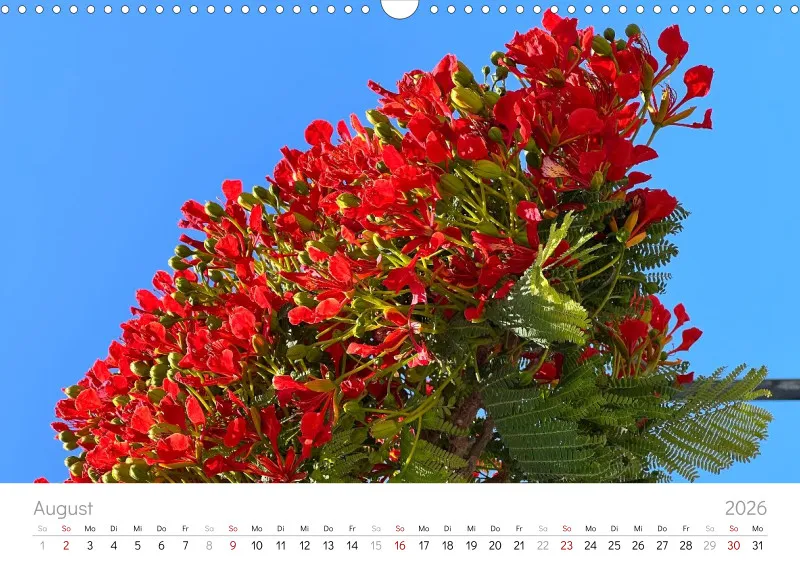 Teneriffa Wandkalender