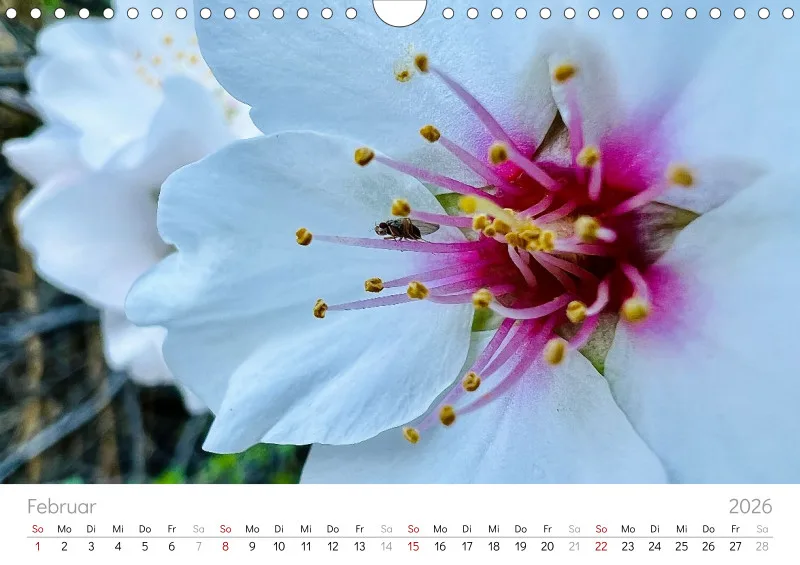 Gran Canaria Wandkalender
