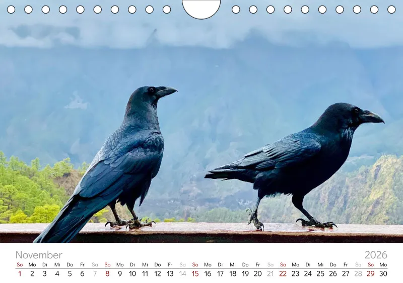 La Palma Wandkalender
