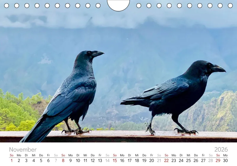 La Palma Wandkalender