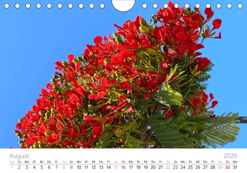 Teneriffa Wandkalender