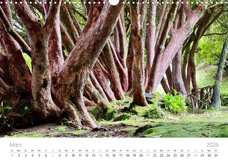 Madeira Wandkalender