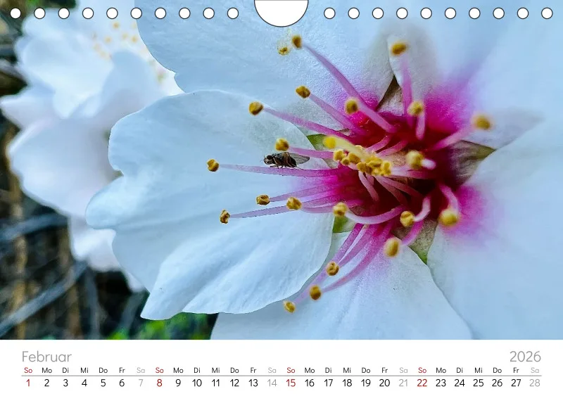 Gran Canaria Wandkalender