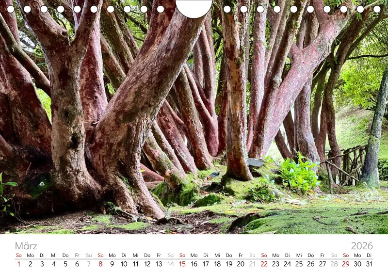 Madeira Wandkalender