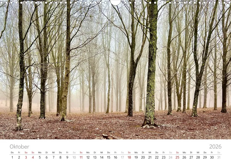 Madeira Wandkalender