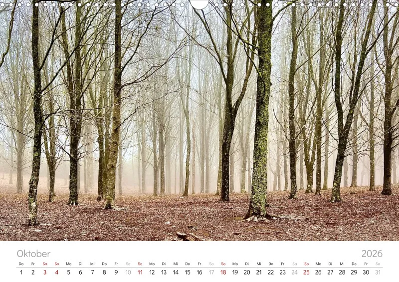 Madeira Wandkalender