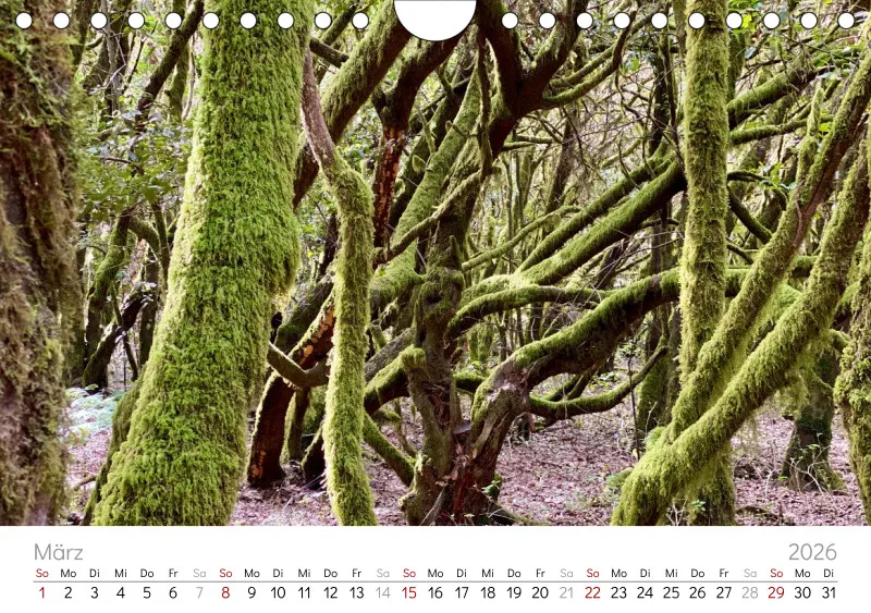 La Gomera Wandkalender