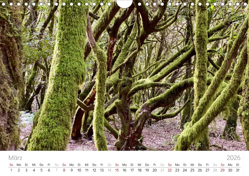 La Gomera Wandkalender