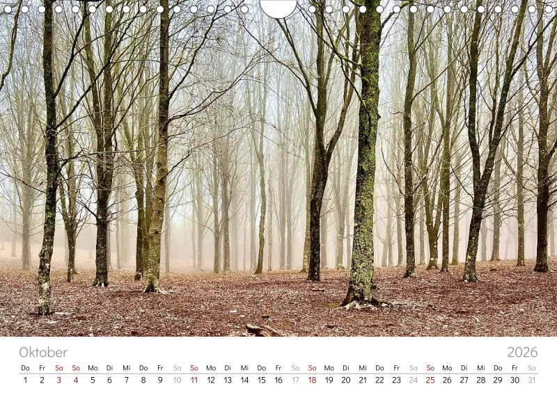 Madeira Wandkalender
