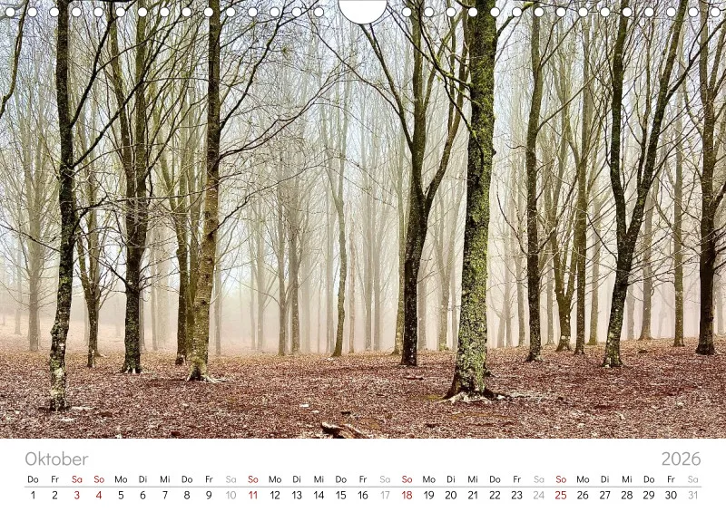 Madeira Wandkalender
