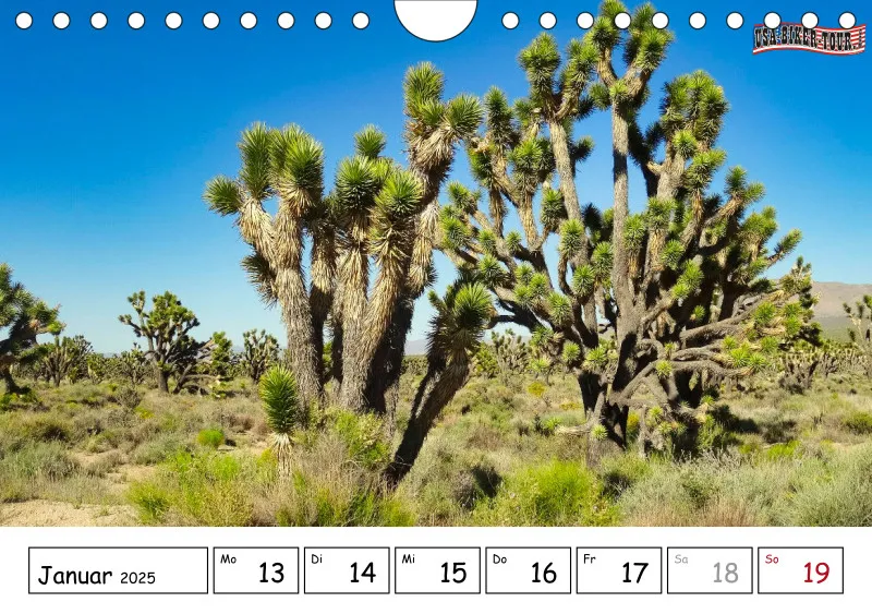 Wochenkalender A5 2025