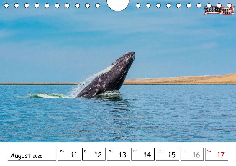 Wochenkalender A5 2025