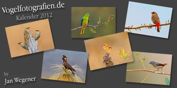 Vogelfotografien.de