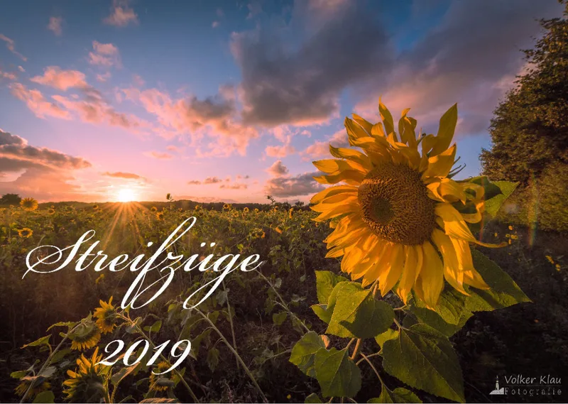 Streifzüge 2019 - A3