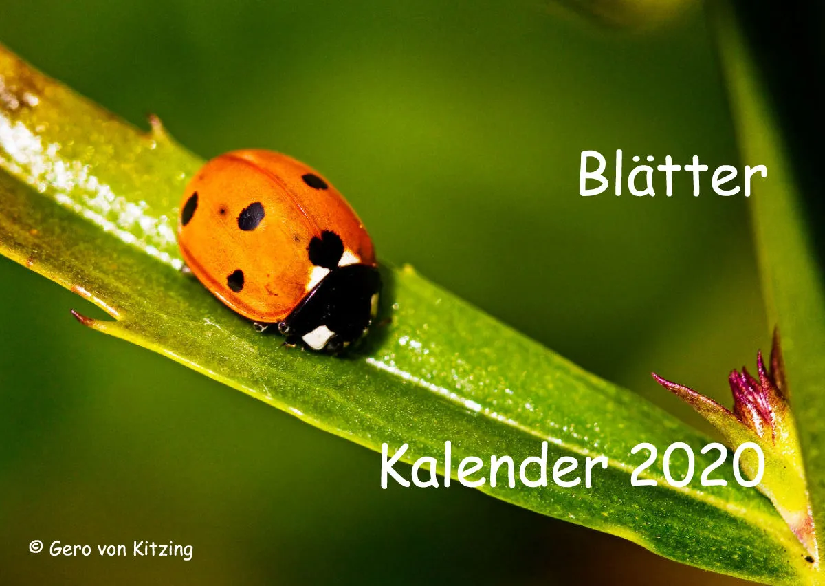 Blätter