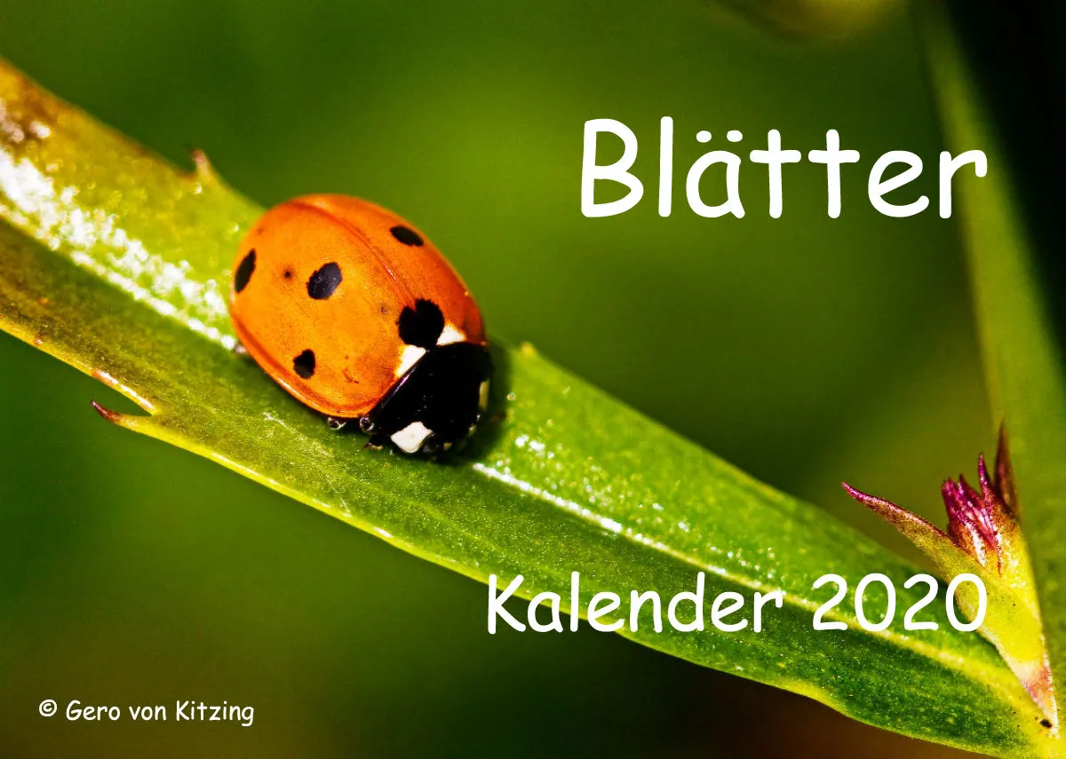 Blätter
