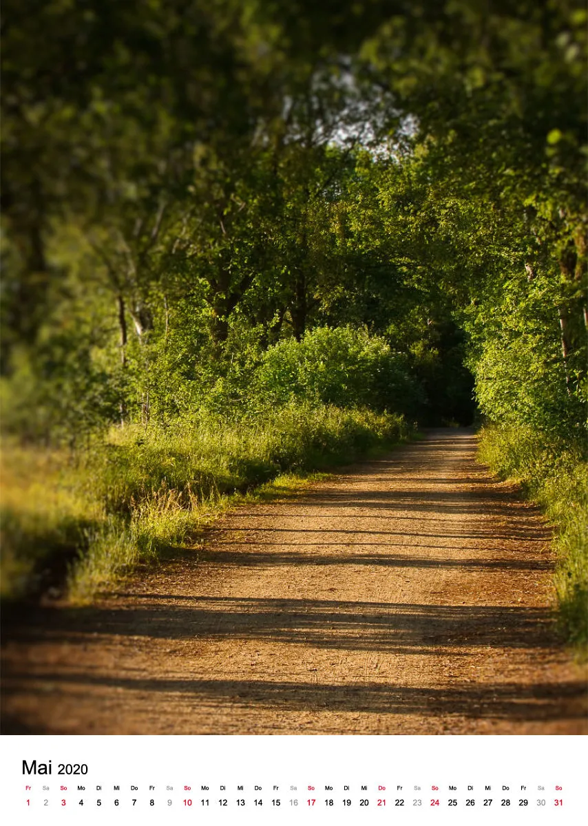 Wege in der Feldmark
