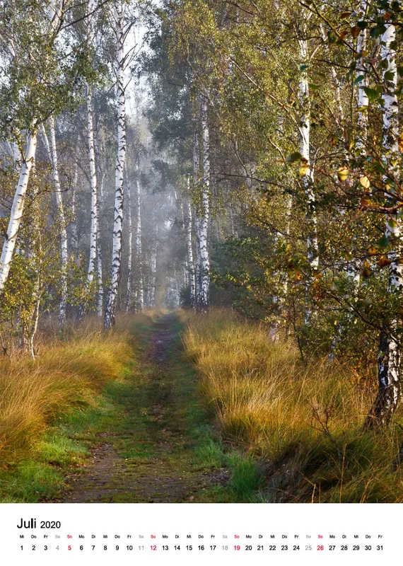 Wege in der Feldmark