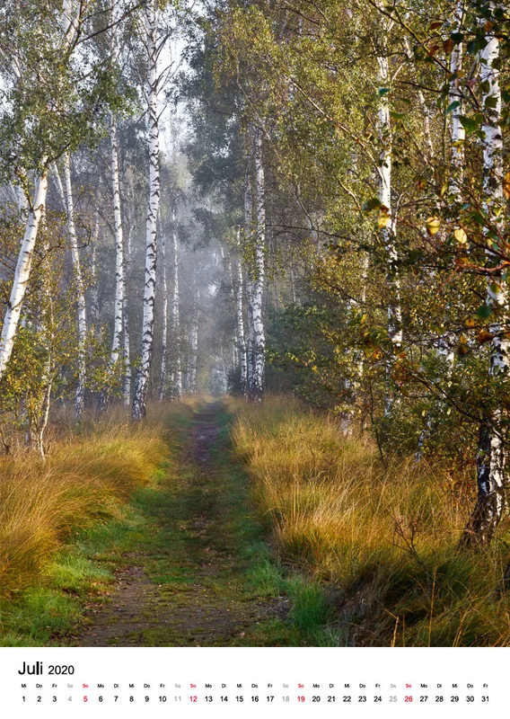 Wege in der Feldmark