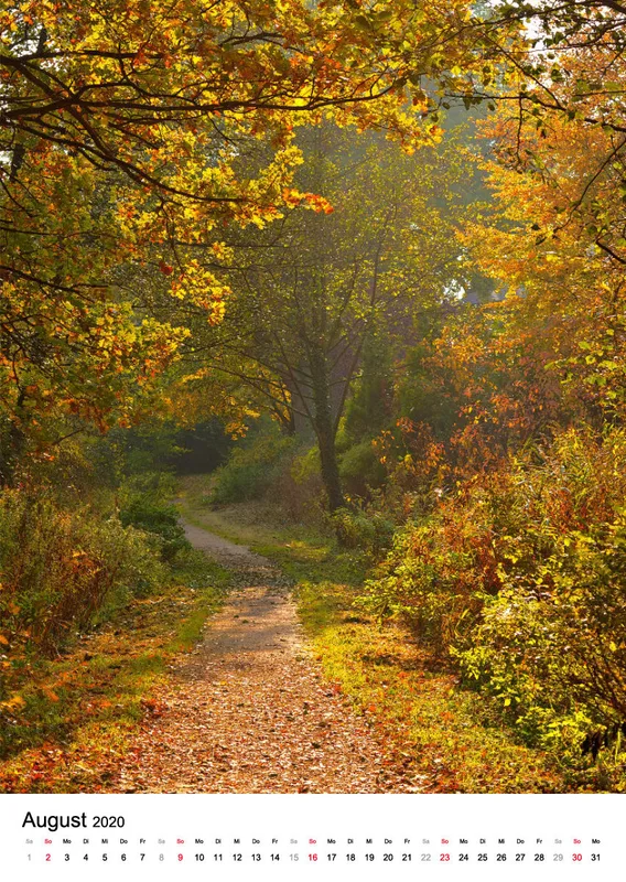Wege in der Feldmark