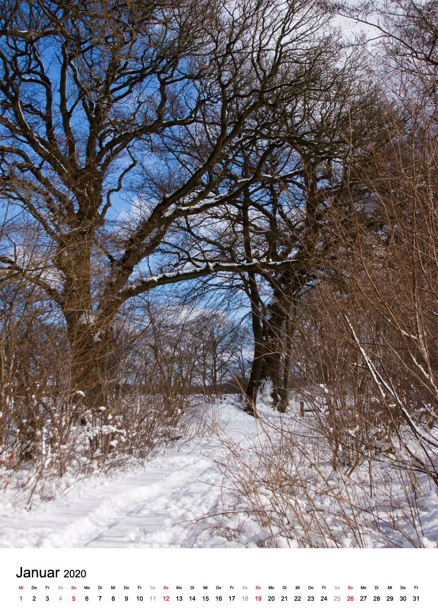 Wege in der Feldmark