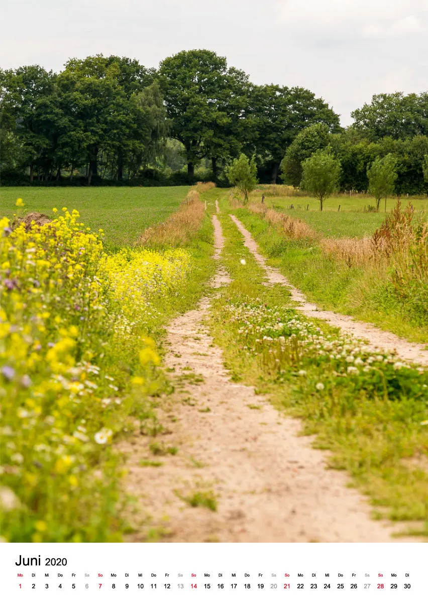 Wege in der Feldmark