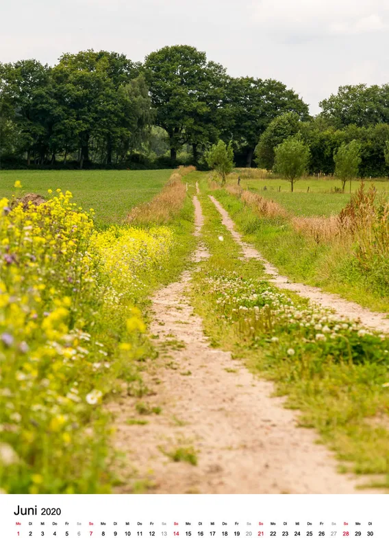 Wege in der Feldmark