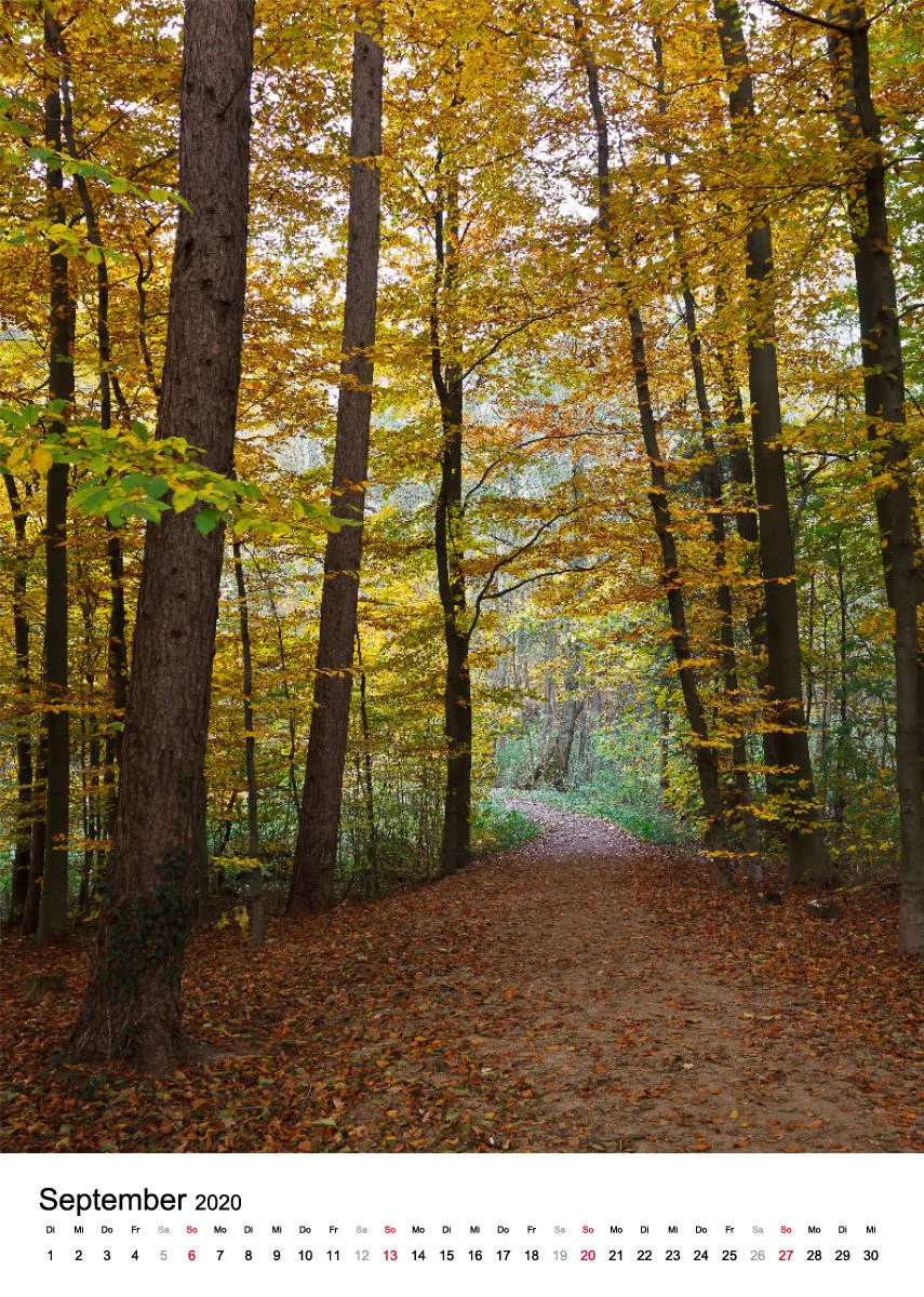 Wege in der Feldmark