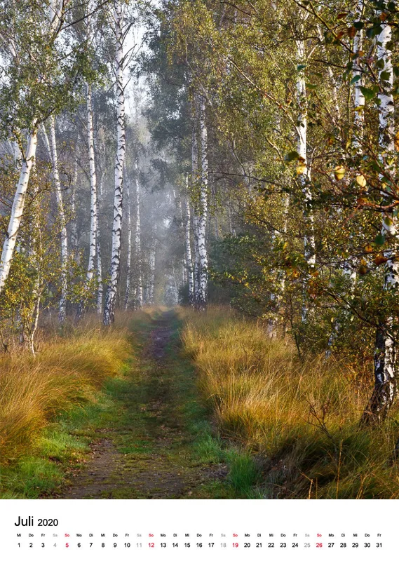 Wege in der Feldmark