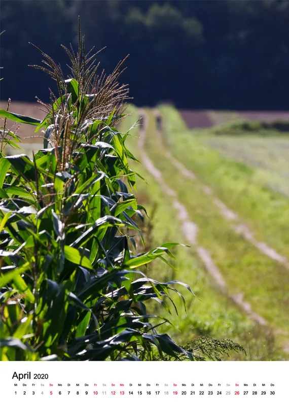 Wege in der Feldmark