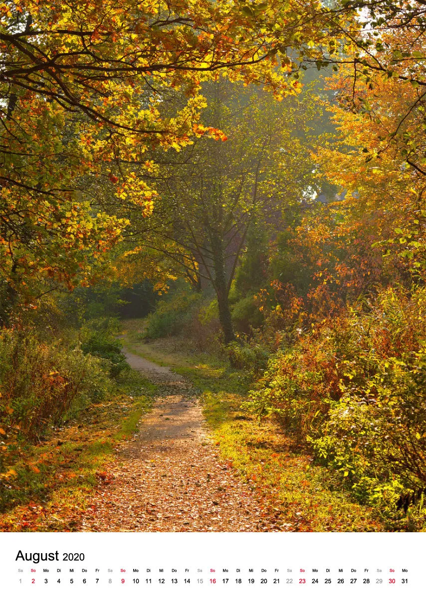Wege in der Feldmark