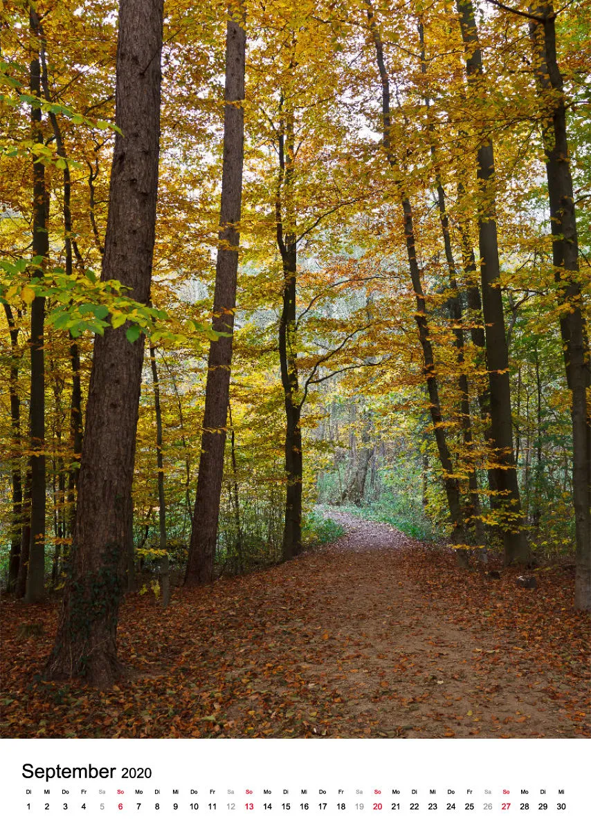 Wege in der Feldmark